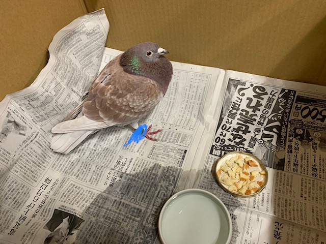 画像2