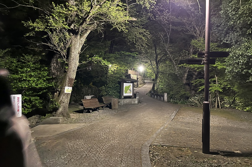 画像4