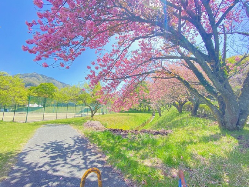 画像4