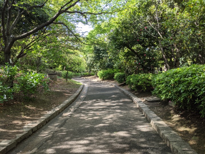 画像4