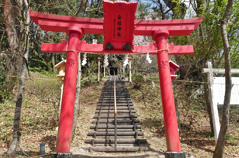 画像5