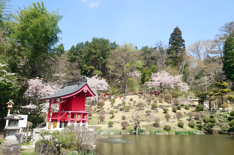 画像4
