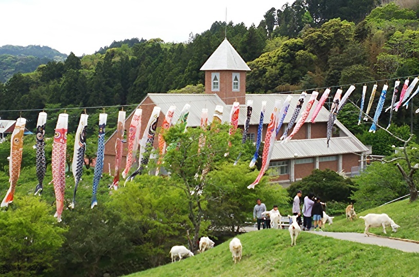 画像1