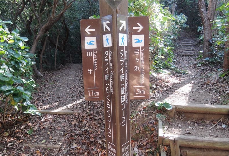 画像2