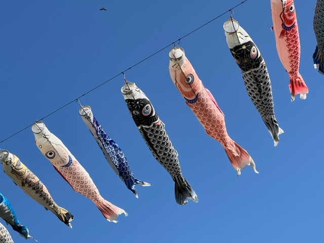 画像5