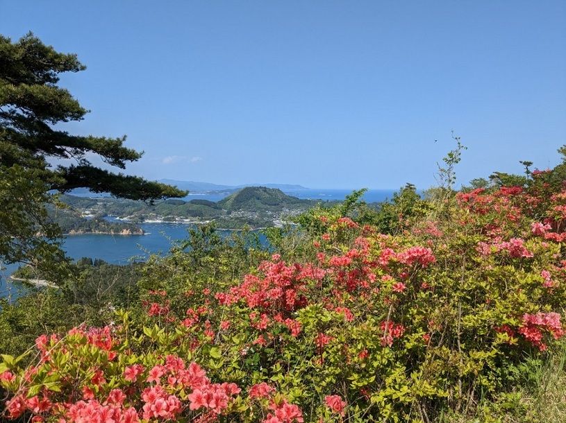 画像2