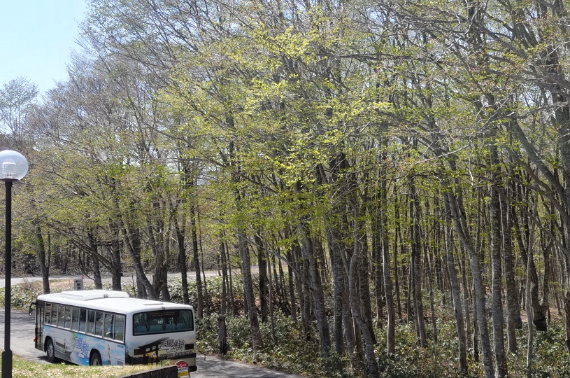 画像5