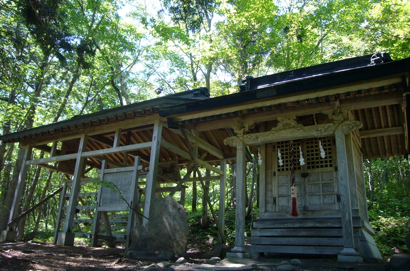 画像4