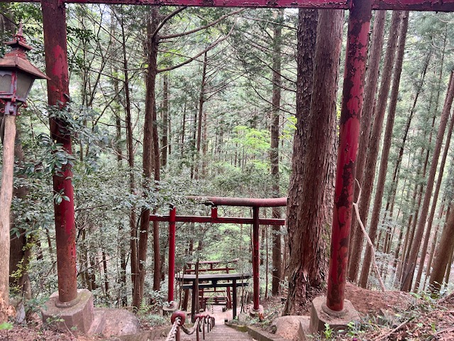 画像4