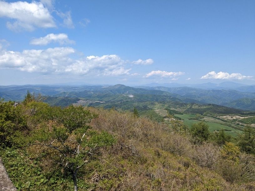 画像5