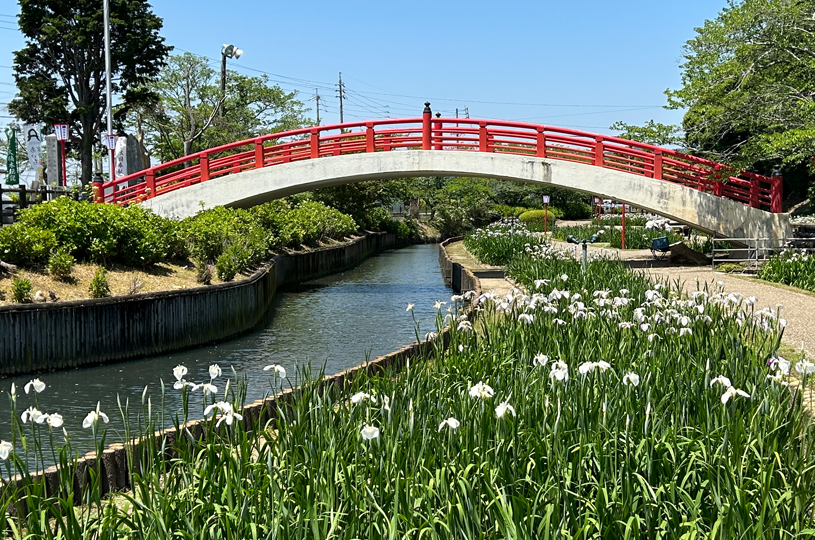画像4