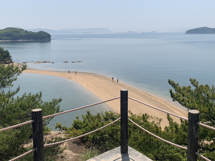 画像4
