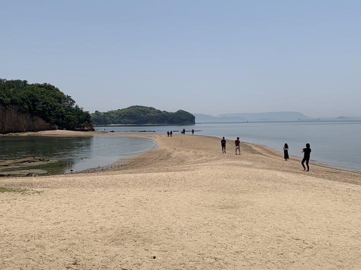 画像1