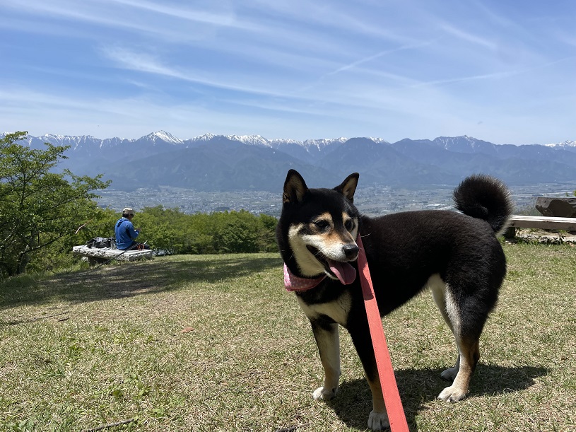 画像2