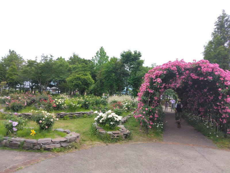 画像2