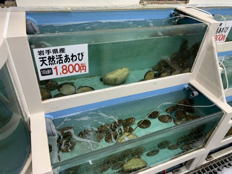 画像1