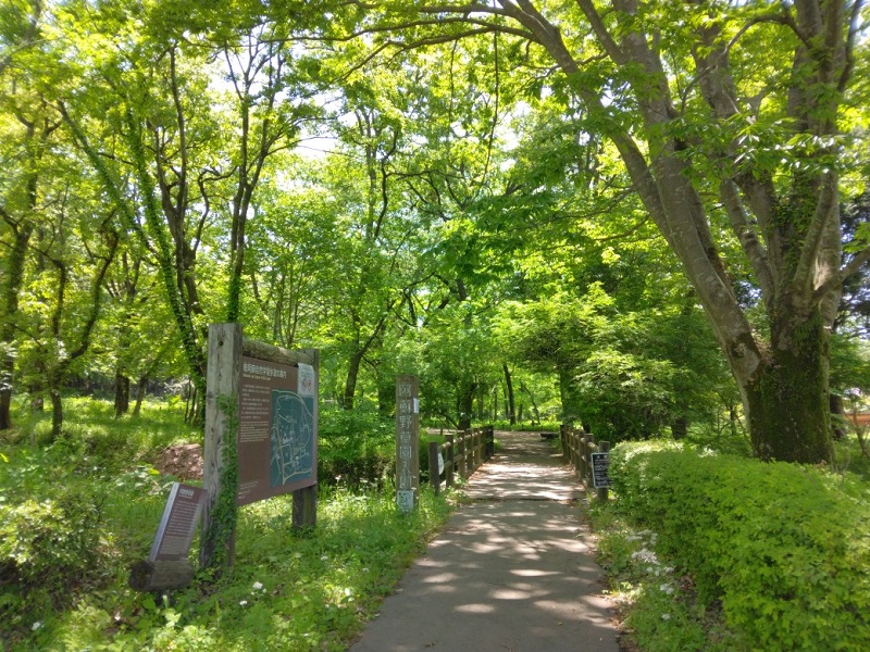 画像2
