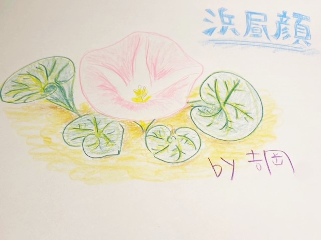 画像1