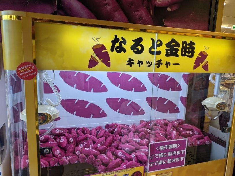 画像5
