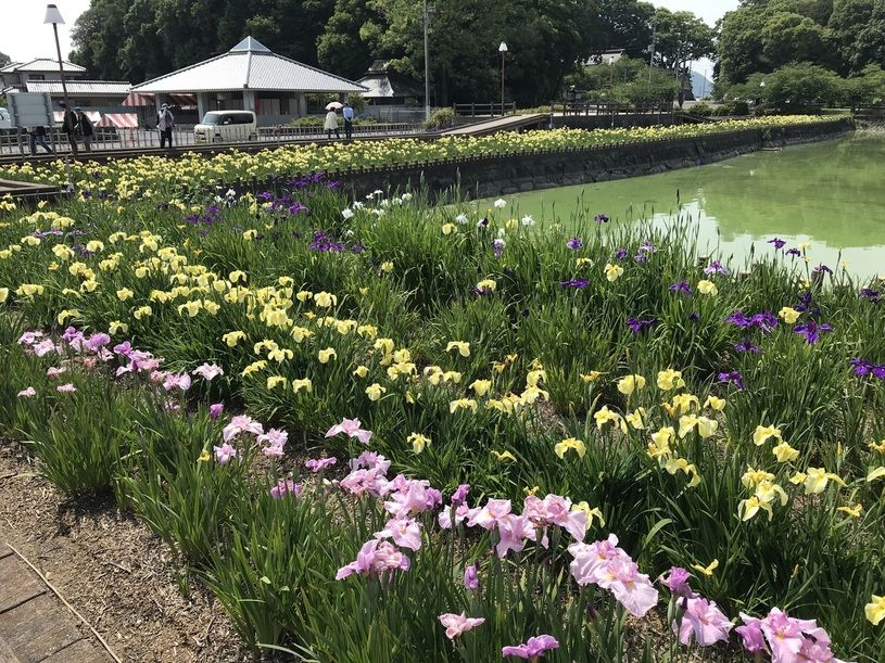画像4