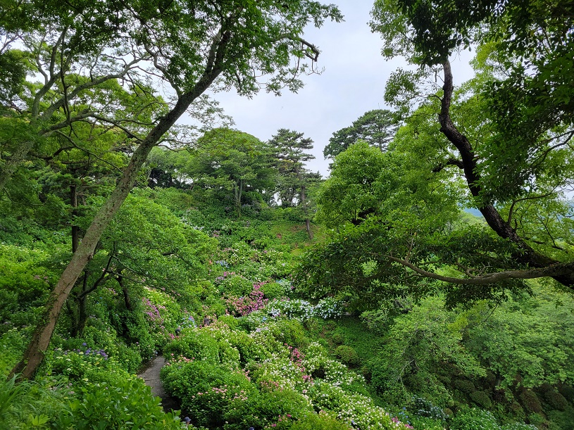 画像2