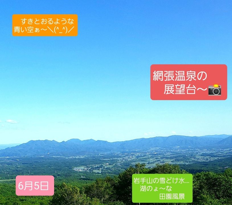 画像2