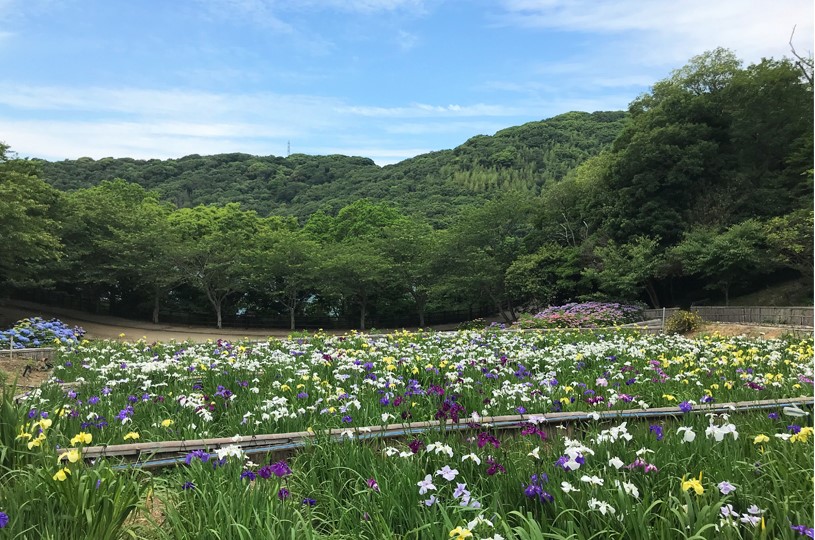 画像4