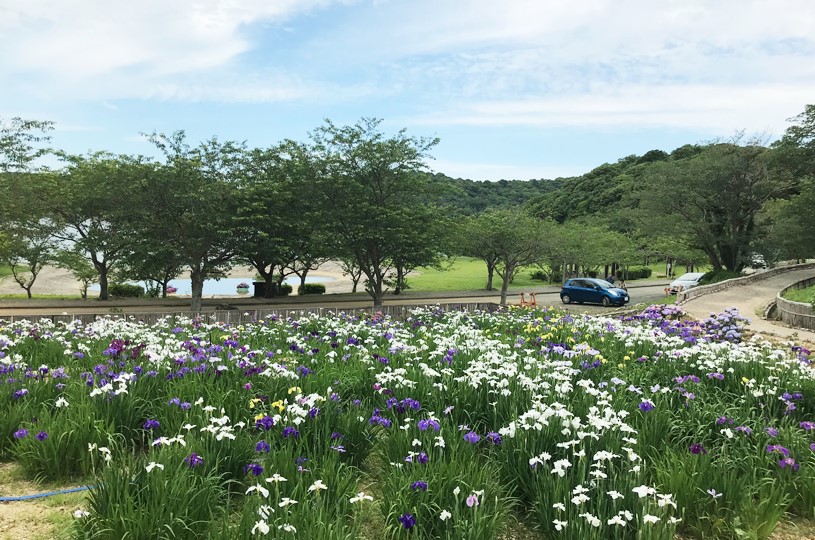 画像4