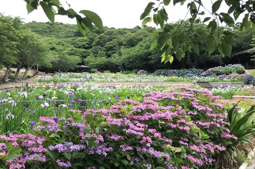 画像2