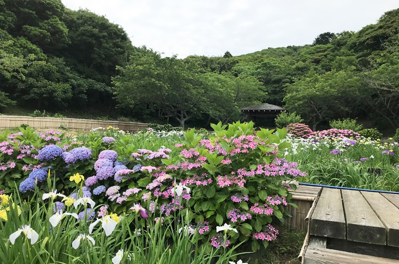 画像4