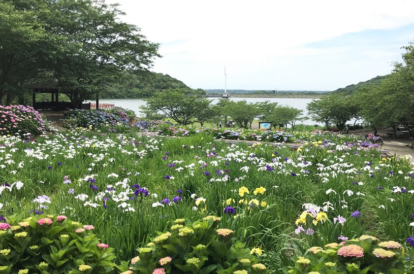 画像5