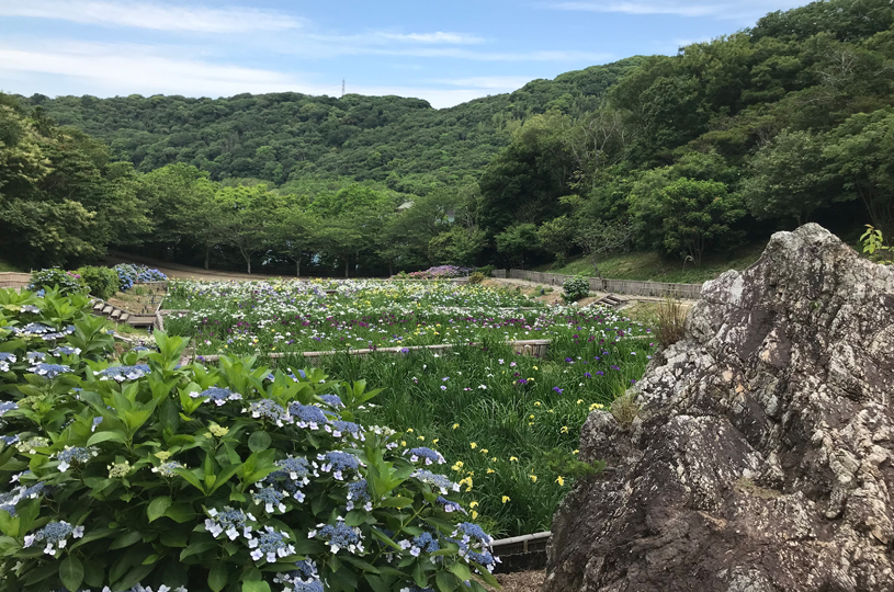 画像2