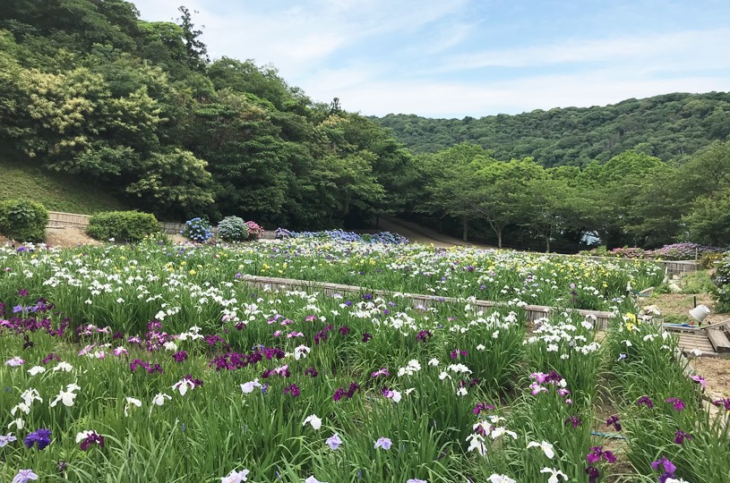 画像3