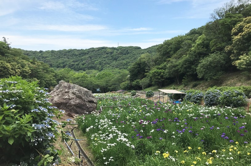画像4