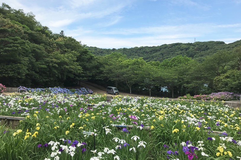 画像5