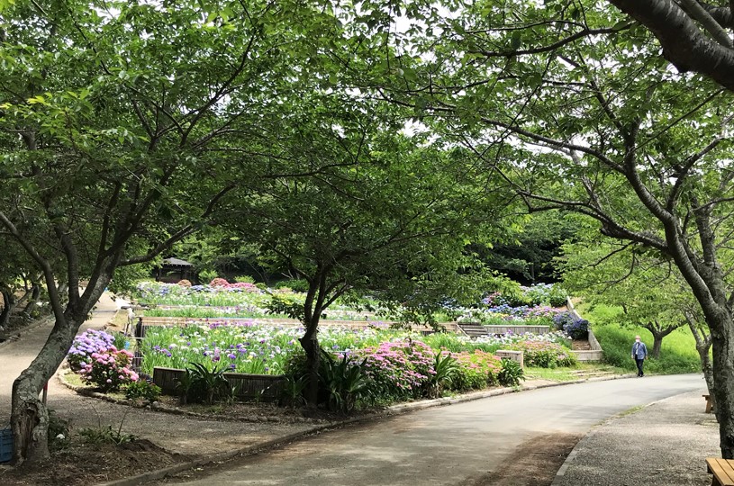 画像3