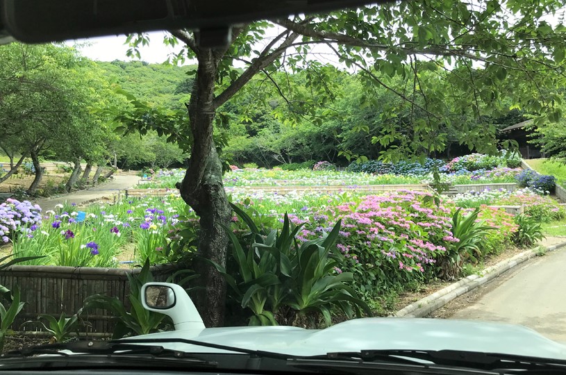 画像4