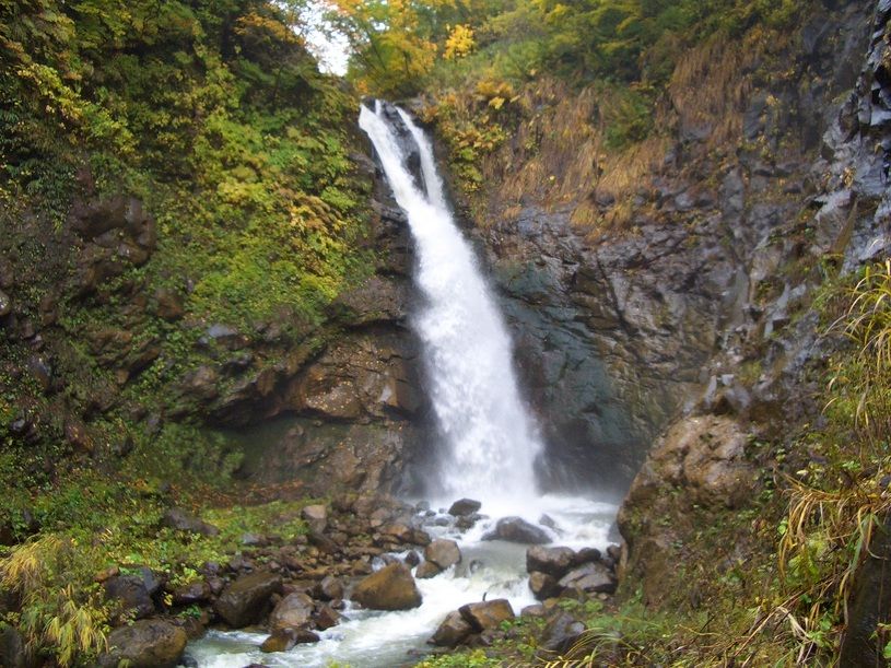 画像1