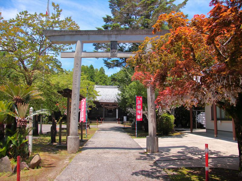 画像1