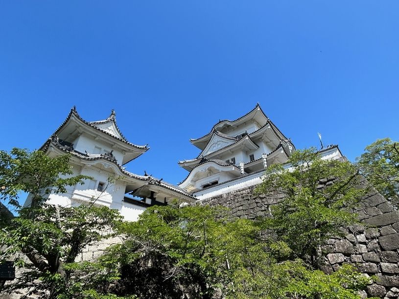 画像1