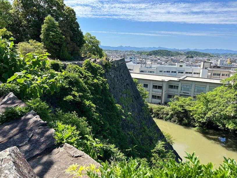 画像1