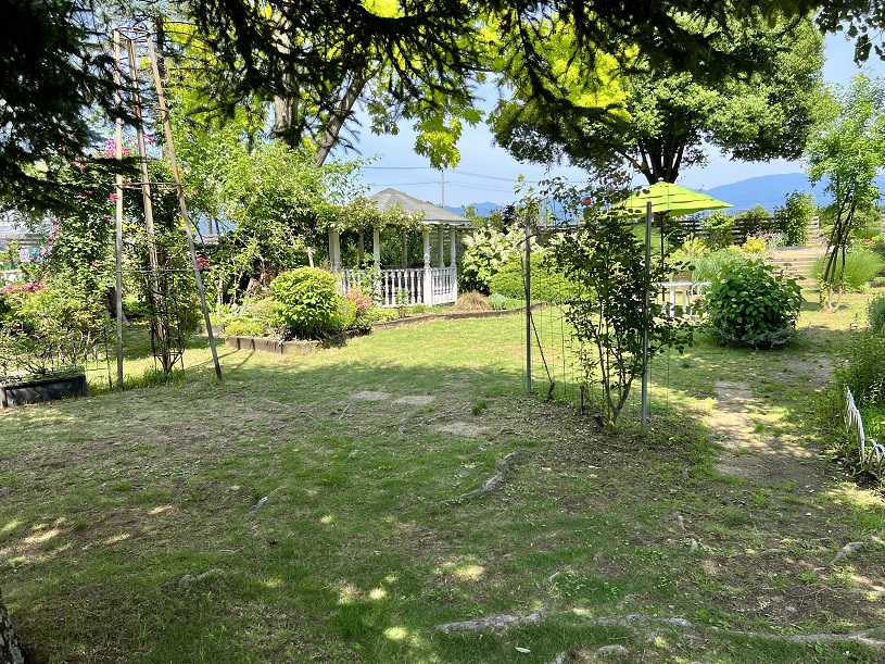 画像4