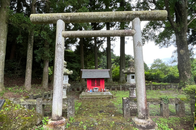 画像2
