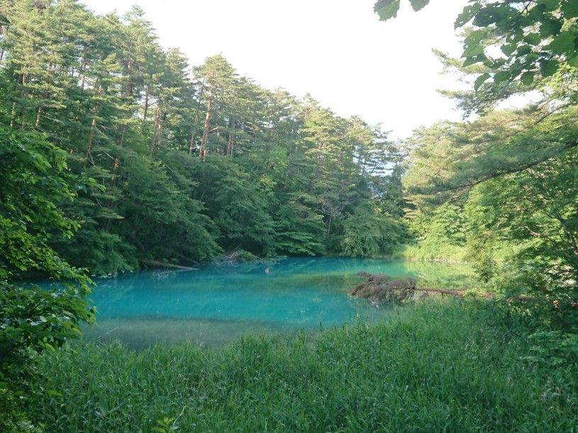 画像2