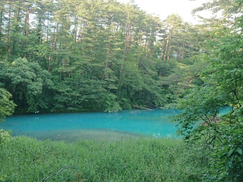 画像3