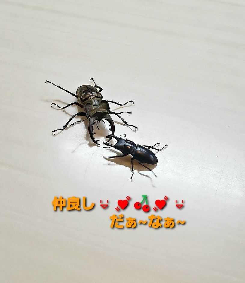 画像3