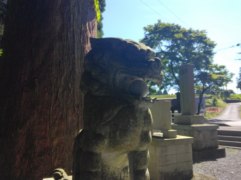 画像1