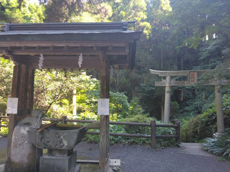 画像5