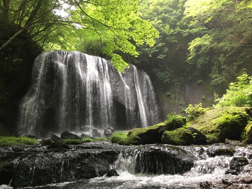 画像1