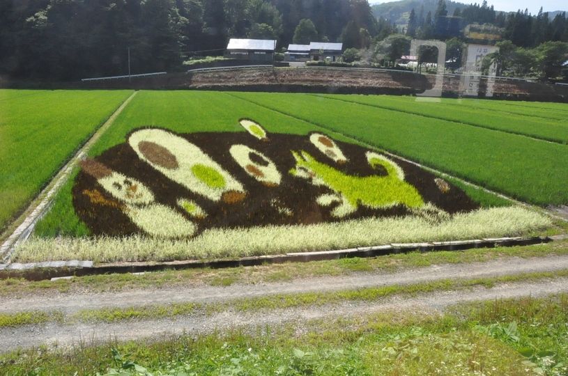 画像2